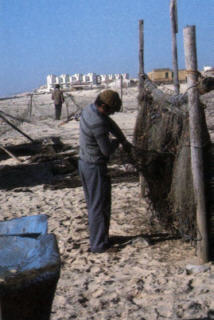 Pesca